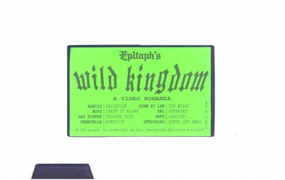 Epitaph's Wild Kingdom: A Video Bonanza